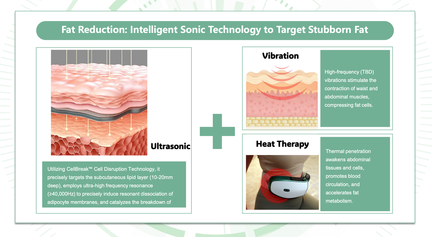 OlyLife Shaken PEMF Fat-Burning Device