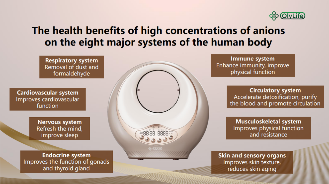 A9 Smart Anion BamaAir - Payment Plan