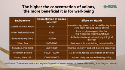 A9 Smart Anion BamaAir - Payment Plan