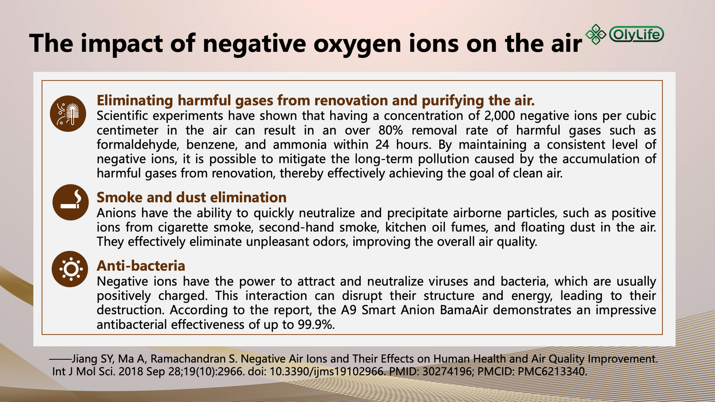 A9 Smart Anion BamaAir - Payment Plan