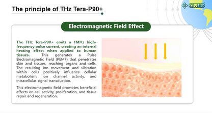 OlyLife THz Tera-P90 Plus - Payment Plan